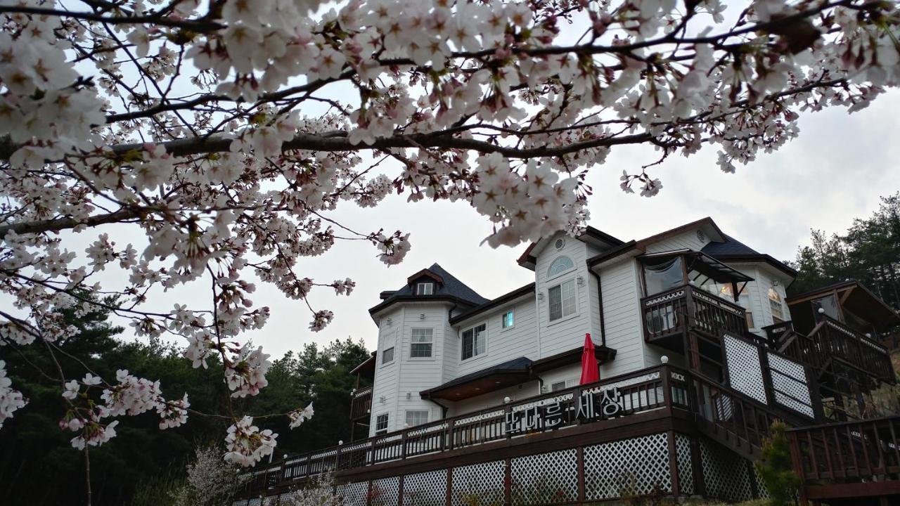 Another World Pension 경주 외부 사진