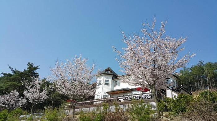 Another World Pension 경주 외부 사진